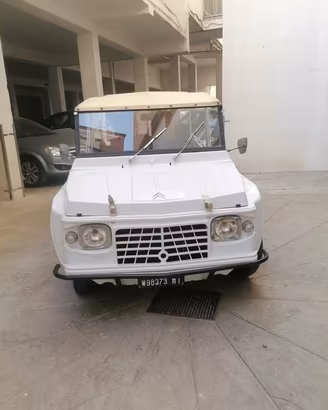  Citroen Mehari 
