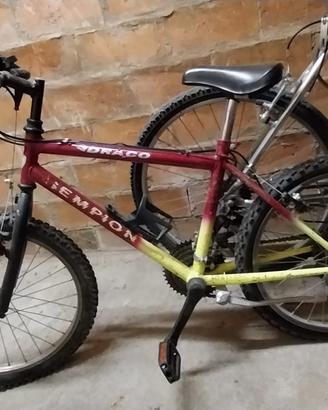 Bicicletta mountain bike per bambino