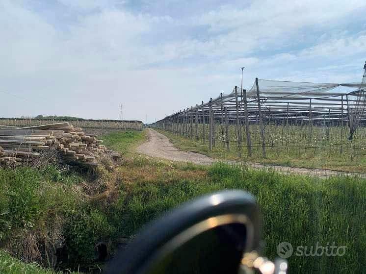 RGE 133/2022 Tribunale Verona - Lotto 6) - Vista 5