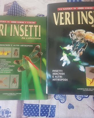Collezione completa "Veri Insetti da Collezione" –