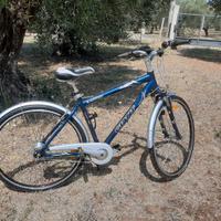 Bicicletta GIANT CYPRESS CITY