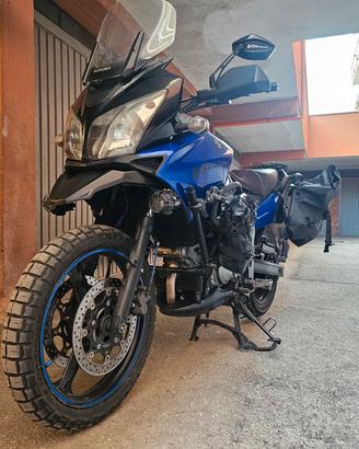 V strom Dl 650 