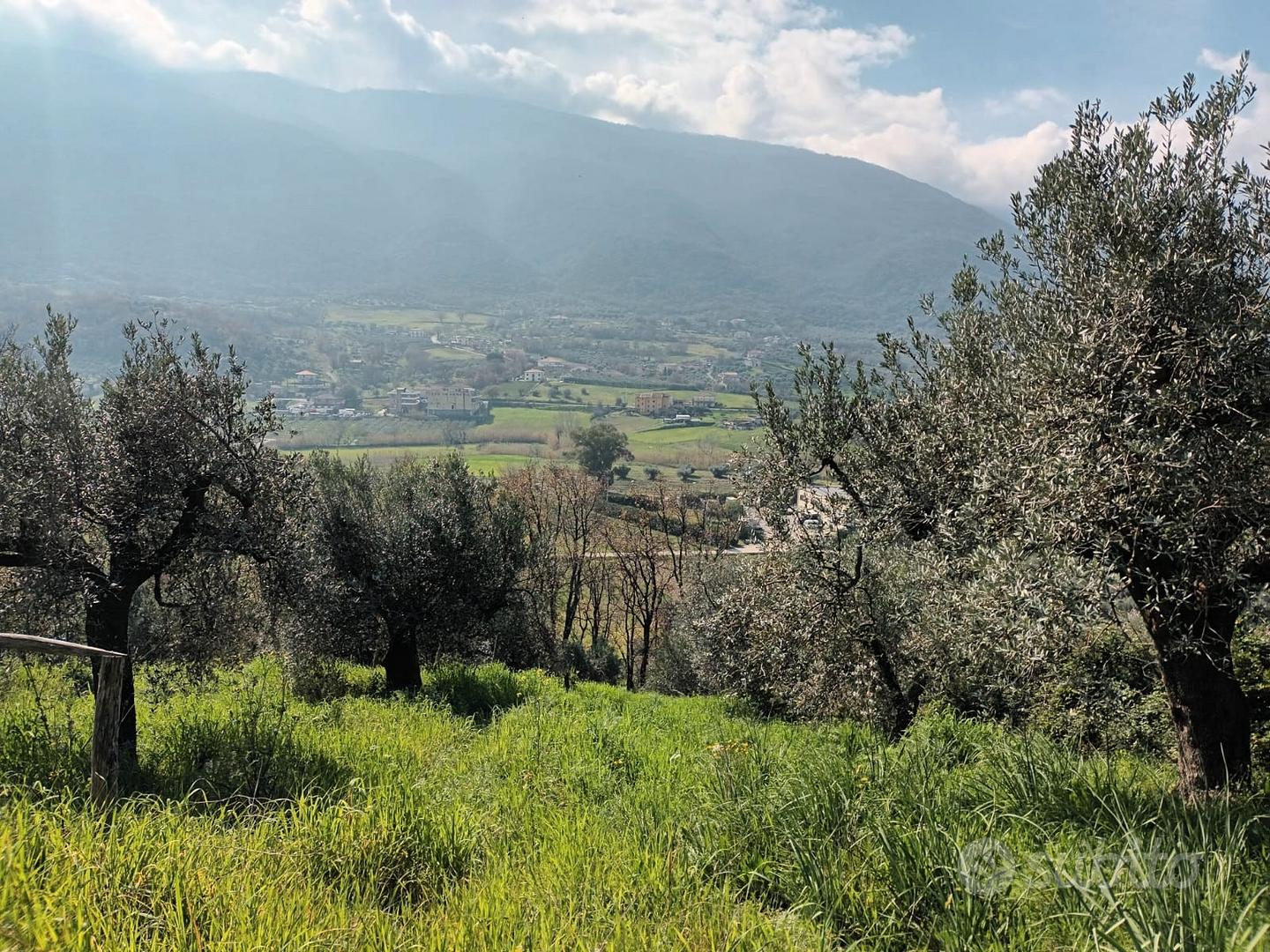 Piccolo lotto di terreno - Vista 4