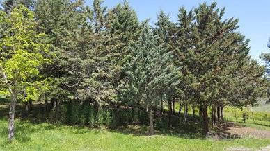 Piccolo appezzamento di terreno