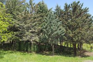 Piccolo appezzamento di terreno