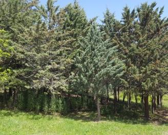 Piccolo appezzamento di terreno