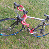 Colnago , modello LUX in titanio. Misura 52×54