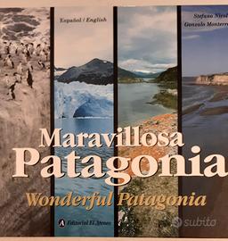 maravillosa Patagonia 