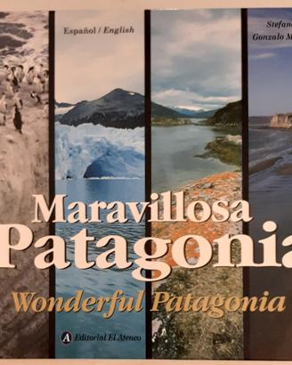 maravillosa Patagonia 
