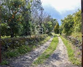 Terreno - Santa Venerina