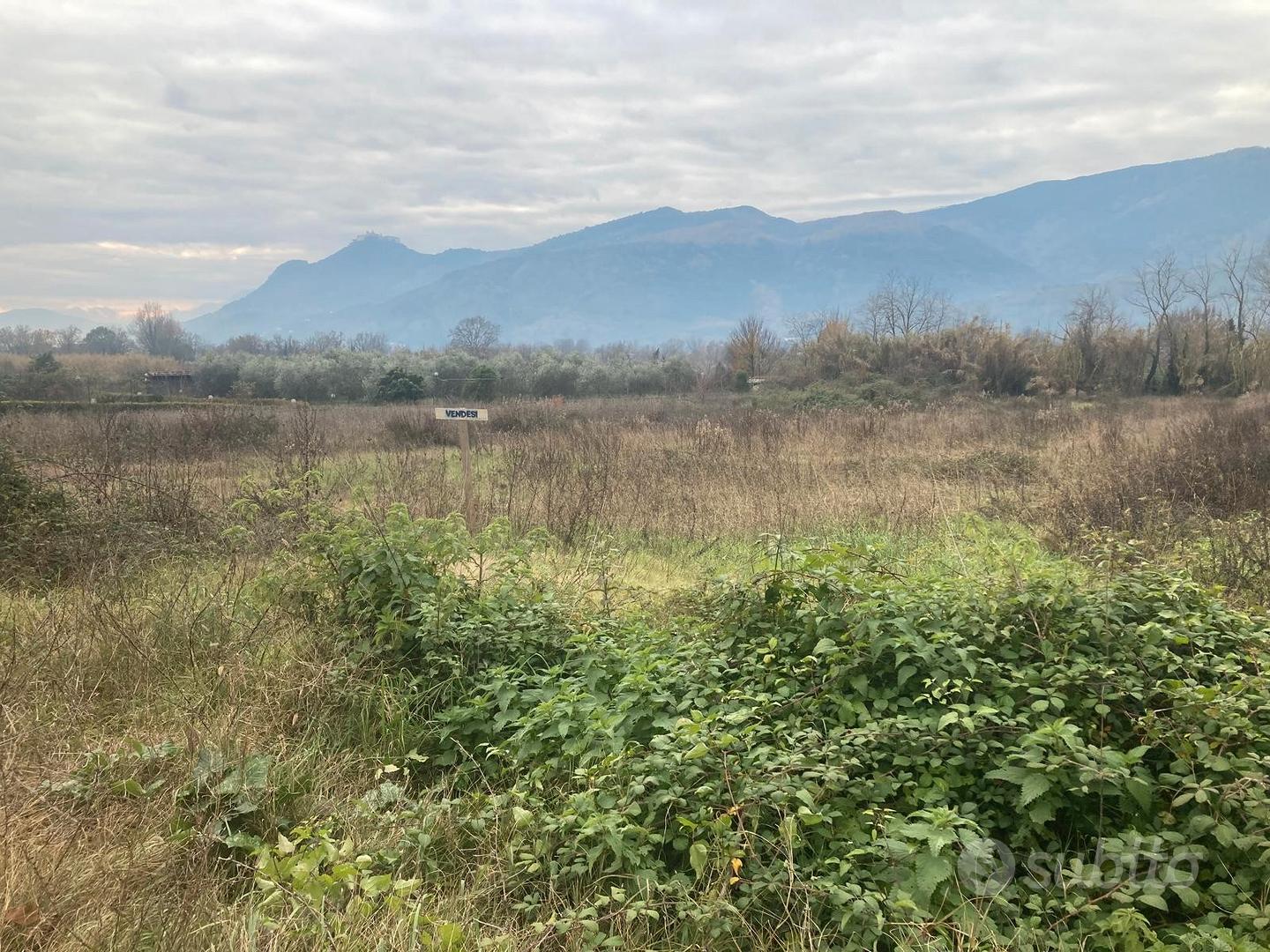 Terreno agricolo pianeggiante - Vista 6