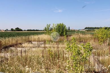 TER. RESIDENZIALE A BERTINORO