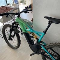 Specialized Kenevo Expert