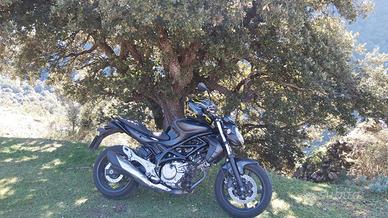 Suzuki Gladius SFV 650