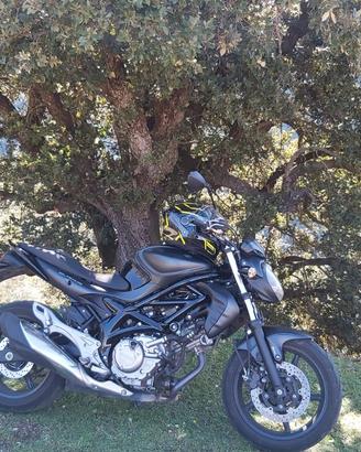Suzuki Gladius SFV 650