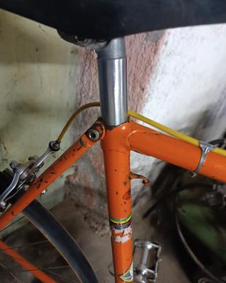 Cinelli Ortelli? Eddy Merckx 