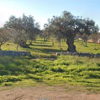 Terreno agricolo edificabile
