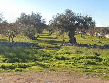 Terreno agricolo edificabile