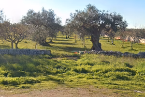 Terreno agricolo edificabile
