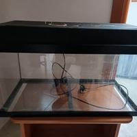 acquario 60 lt