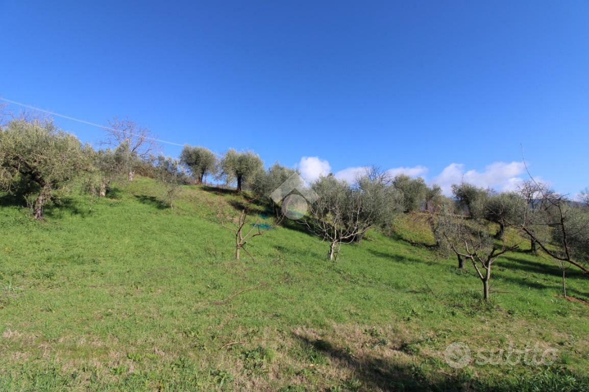 TER. AGRICOLO A MONTOPOLI DI SABINA - Vista 5