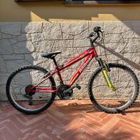 Mountain Bike Röllmar Ragazzo tg. 24 Ammortizata