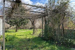TER. AGRICOLO A SAN MICHELE DI SERINO