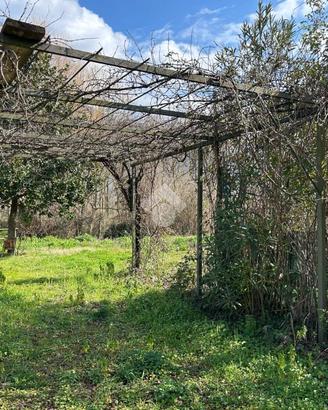 TER. AGRICOLO A SAN MICHELE DI SERINO