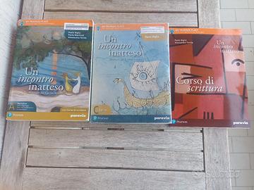 un incontro inatteso 