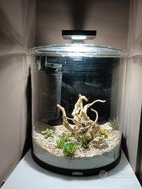 Acquario Tetra 60 LT