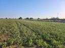 terreno-di-80000-m²-a-formigine