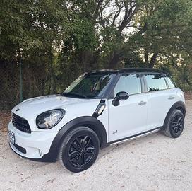 Mini Countryman all 4