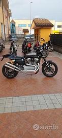 Harley-Davidson XR 1200 - 2008