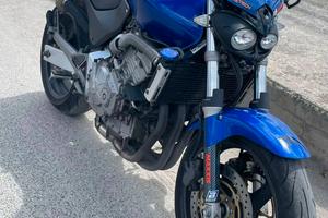 hornet 600 anno 2003 