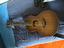 Immagine 4