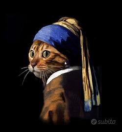 Accudisco i vostri gatti