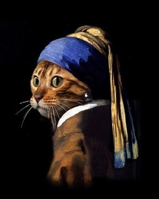 Accudisco i vostri gatti