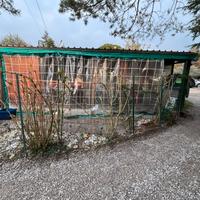 Casa mobile con veranda.