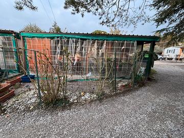 Casa mobile con veranda.