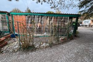 Casa mobile con veranda.