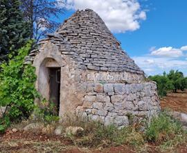 NUOVO PREZZO! Trullo con grande terreno a Castella