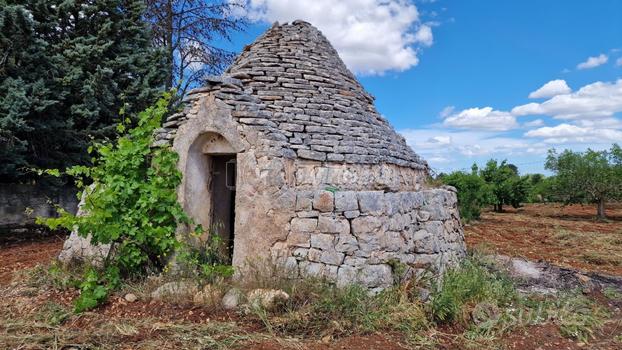 NUOVO PREZZO! Trullo con grande terreno a Castella