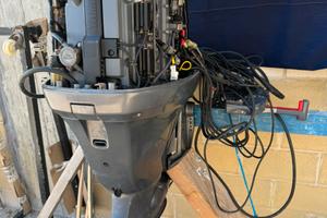 Selva narwhal 115 cavalli