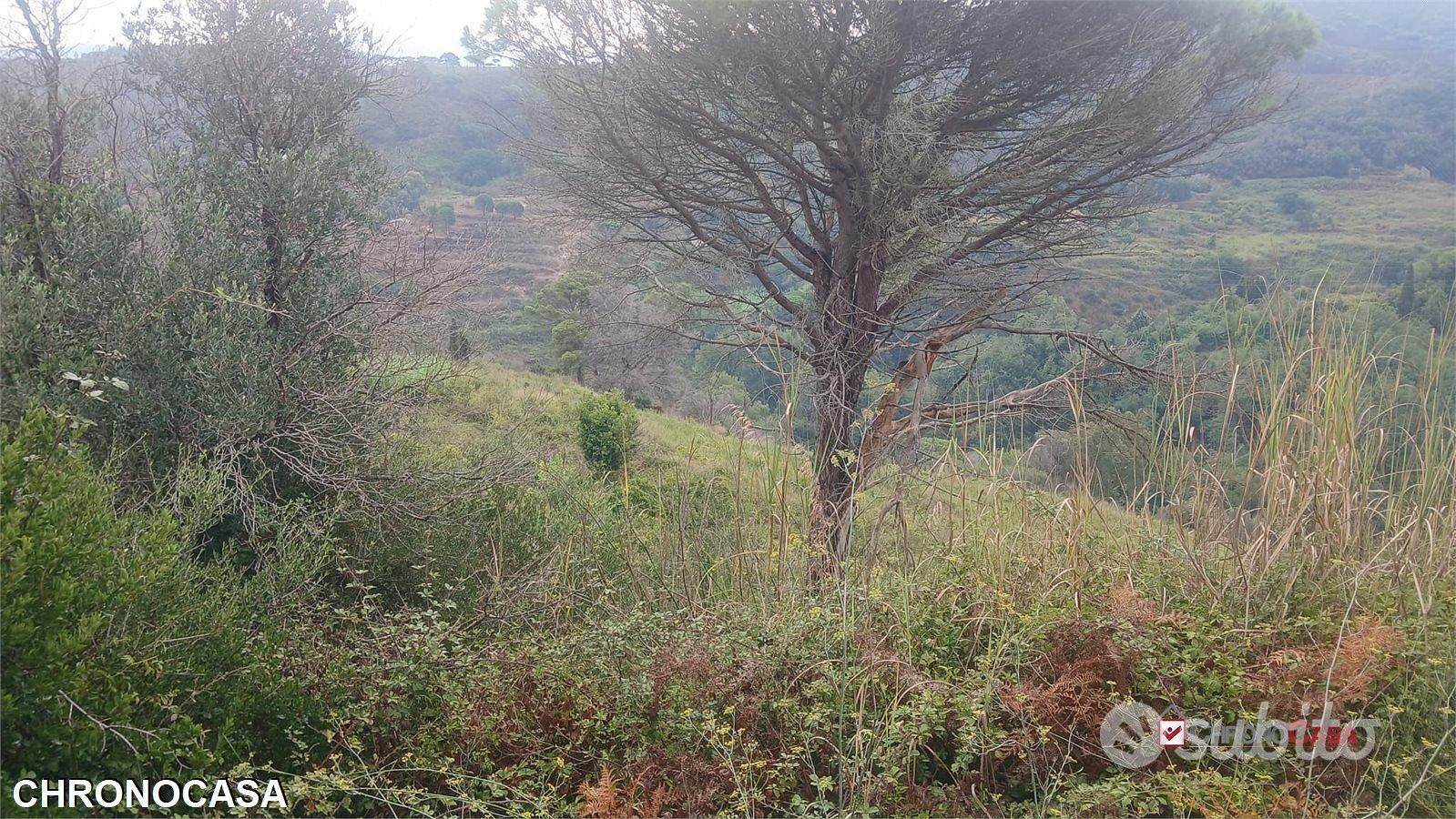 Castanea, terreno con rudere - Vista 4