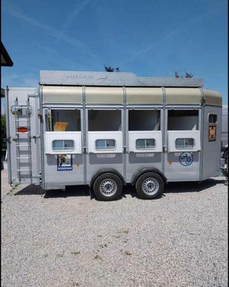 Trailer trasporto cavalli