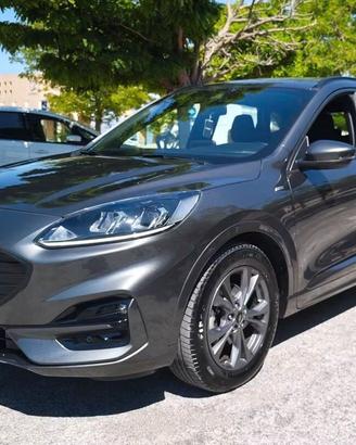 Ford Kuga 1.5 EcoBlue 120 CV aut. 2WD ST-Line