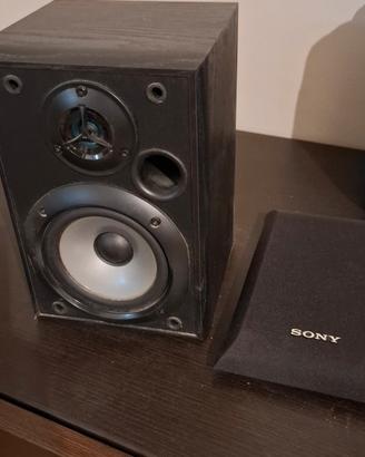 Cassa singola Sony ss-B1000