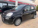 fiat-panda-1-0-firefly-s-s-hybrid-pandina-ok-neopa