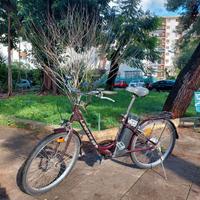Bicicletta elettrica pedalata assistita city bike
