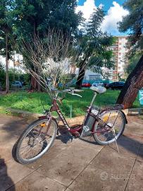 Bicicletta elettrica pedalata assistita city bike
